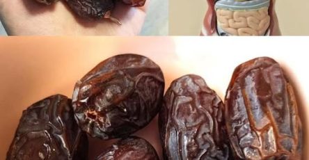 653022541 2250247708838772 449912725238243943 n