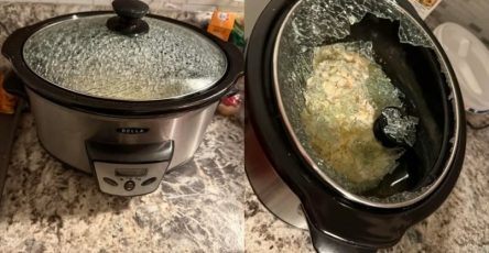 653022718 122095205072982906 3636383675524444582 n