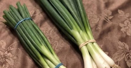 653149306 1246523650982973 4482343636375584158 n