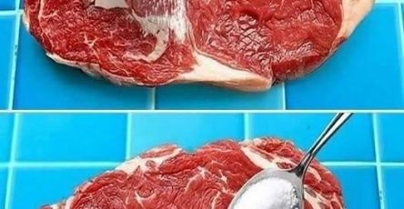 653406469 1864412877611669 8624244814280103454 n