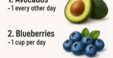 653700243 956579907318794 3568520134970384851 n