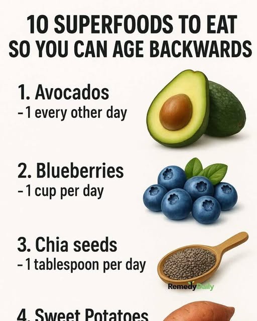 653700243 956579907318794 3568520134970384851 n