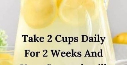 653700549 122192011298521528 4434336277731527079 n