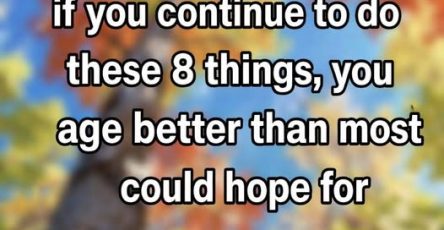 653700610 1243223034590711 5083756950713529960 n