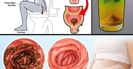 653704177 943627751805589 6550158575787870611 n