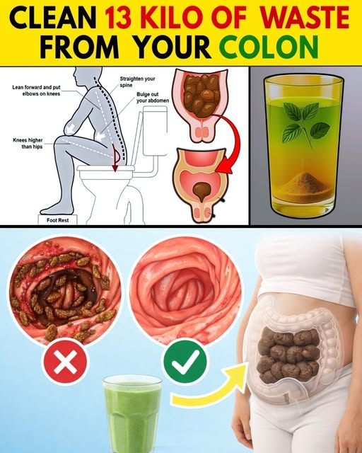 653704177 943627751805589 6550158575787870611 n