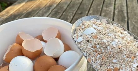 653706843 4266856793562898 6573768258467427166 n