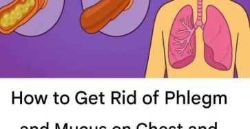 653710699 122192012726521528 6818480763149405514 n