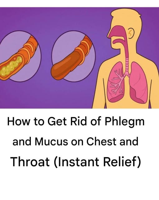 653710699 122192012726521528 6818480763149405514 n