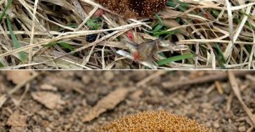 653712739 122210437136335205 6646324941301043606 n