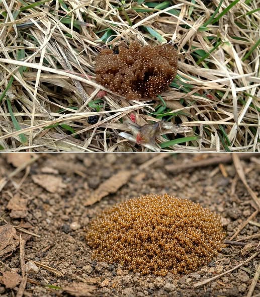 653712739 122210437136335205 6646324941301043606 n