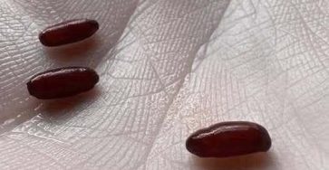 653815136 1863936994325924 5125454386975430223 n