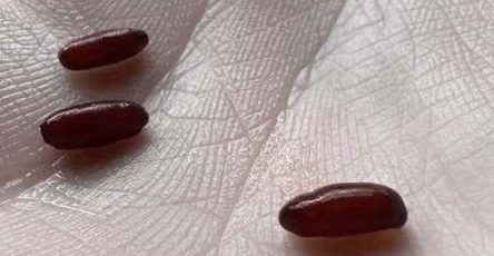 653815136 1863936994325924 5125454386975430223 n