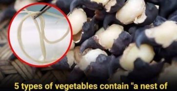 653841676 1575196316888397 6981518732757716800 n