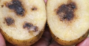 653901642 122103446583019387 1530798986897788535 n