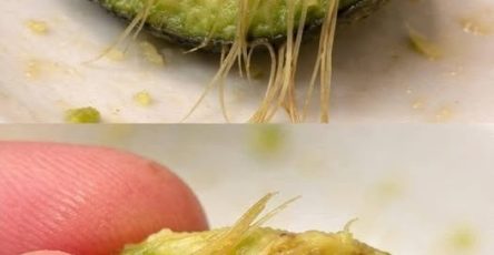 654233190 2029103144655828 4282714030971198445 n