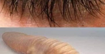 654443227 4266842730230971 5654477343958351907 n