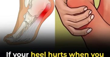 654807427 1460394965487977 8529675787857156434 n