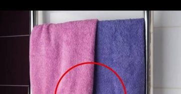 655130410 122100481994982906 554264770478684410 n