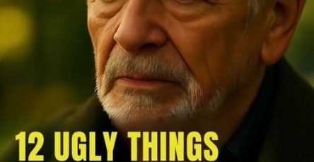 655147204 2392567967888404 7594725922507708163 n