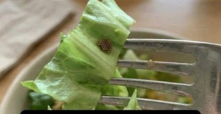 655605541 1692802015475062 4548975170522622255 n