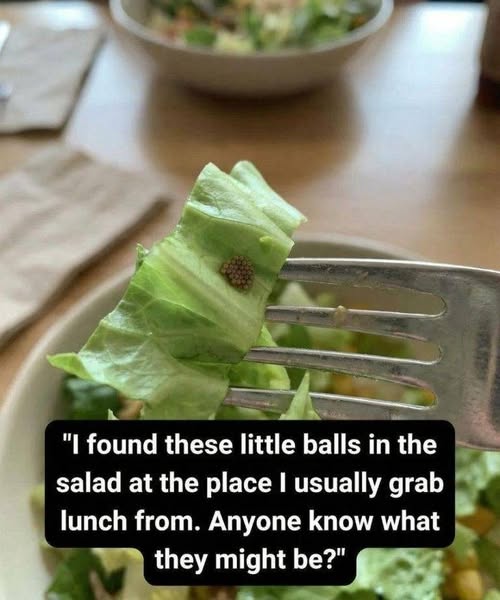 655605541 1692802015475062 4548975170522622255 n