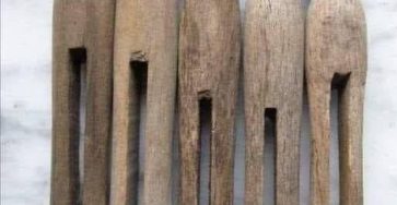 655748129 2392684711210063 6563309512061901114 n