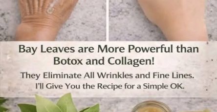 655833346 980523167739342 894737471649739165 n