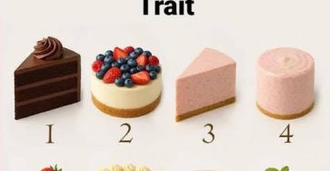 656050906 1692811335474130 3092330126324258456 n