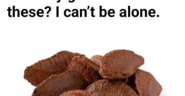 656171762 2177981986280482 5779535763252210863 n