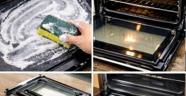 656182366 122101671104982906 4668438095944425200 n