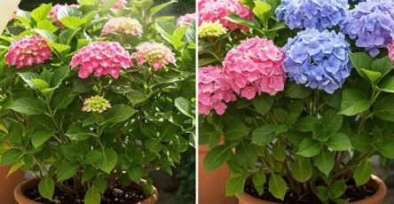 656258786 2145507039632329 1836053630353763713 n