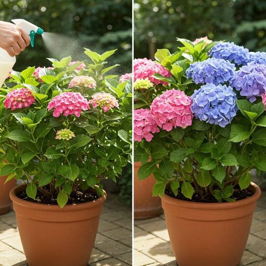 656258786 2145507039632329 1836053630353763713 n