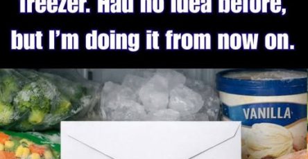 656350181 122103456699019387 5042646025833912252 n