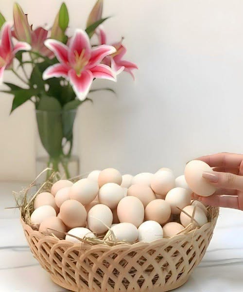 656523619 1692807172141213 8486284552662758026 n