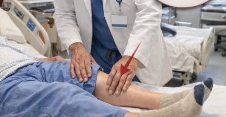 656590347 1247534287492919 3175334802255785661 n