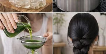 656637623 2392705327874668 4228232442240736969 n