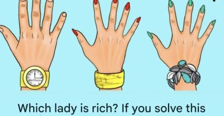 656649415 879964138376308 8477245196178274027 n