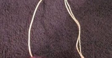 656696192 1691772415578022 4059949793460931987 n