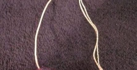 656696192 1691772415578022 4059949793460931987 n