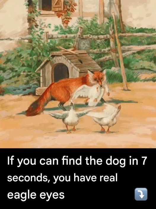 656821705 3985982238360649 3172146261411036993 n