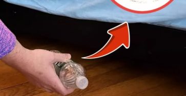 656832884 122103472401019387 6038662977572316679 n