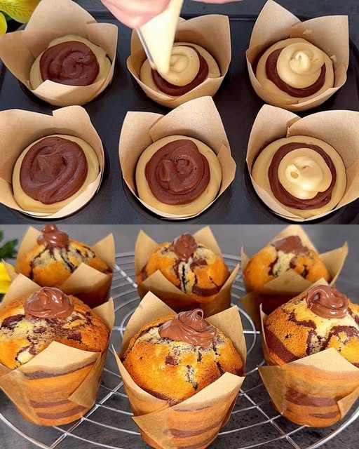 657054068 4271539129761331 8122076056352461266 n