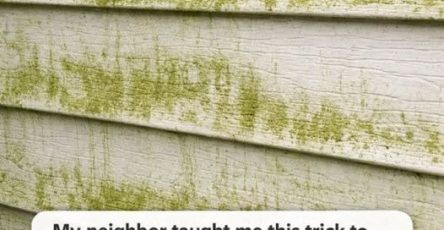 657079356 2327189601108128 4364119908903643008 n