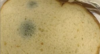 657152361 122104433709019387 7251960851655039712 n