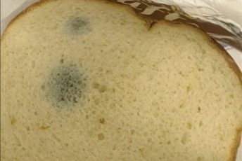 657152361 122104433709019387 7251960851655039712 n