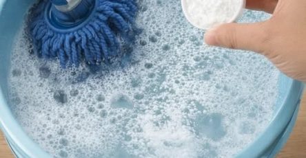 657310354 1477124220631880 2421613969819161623 n