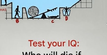 657667599 1692898972132033 1550262750179316660 n