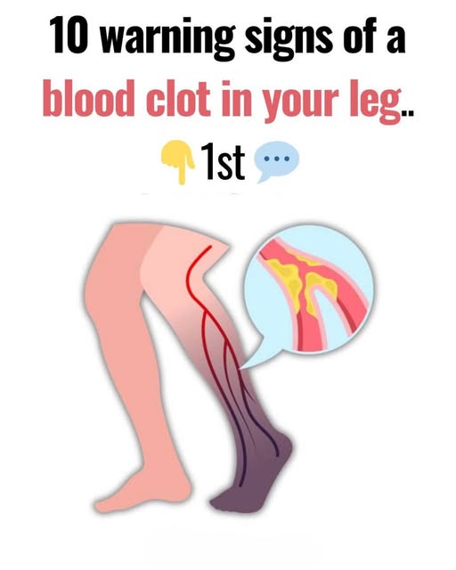 658121300 122175648548800091 7786916422816108008 n (1)