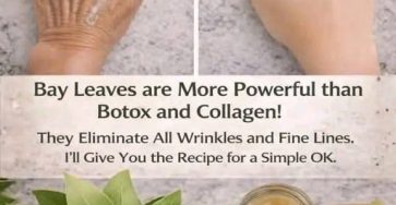 658173325 122175625694800091 8075902213557865628 n